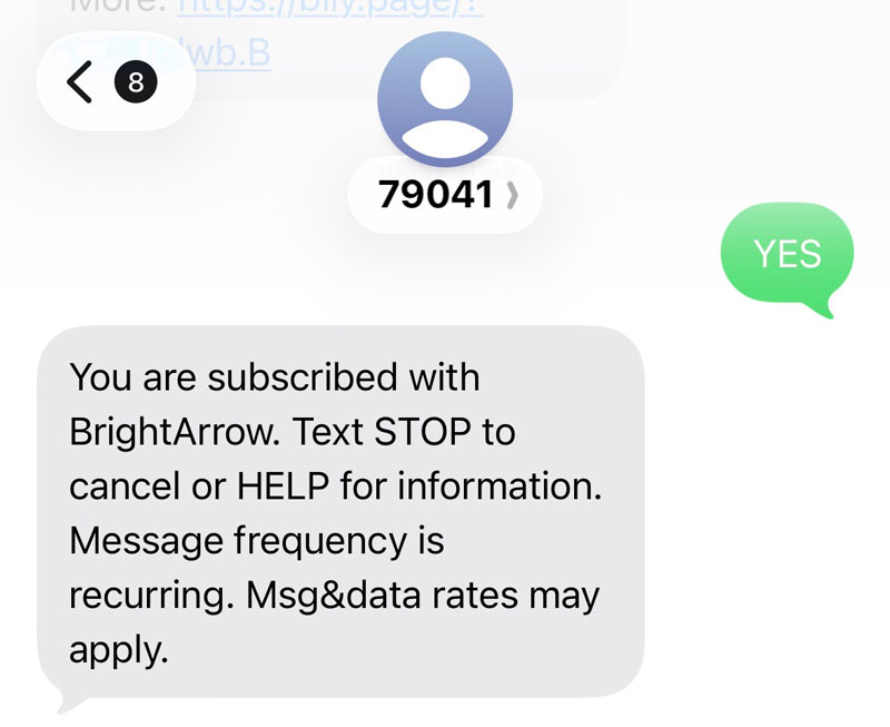 Bright Arrow Screenshot